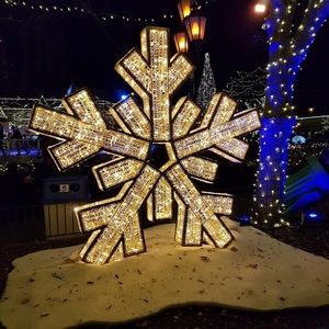 Meet your Posher, Jodi